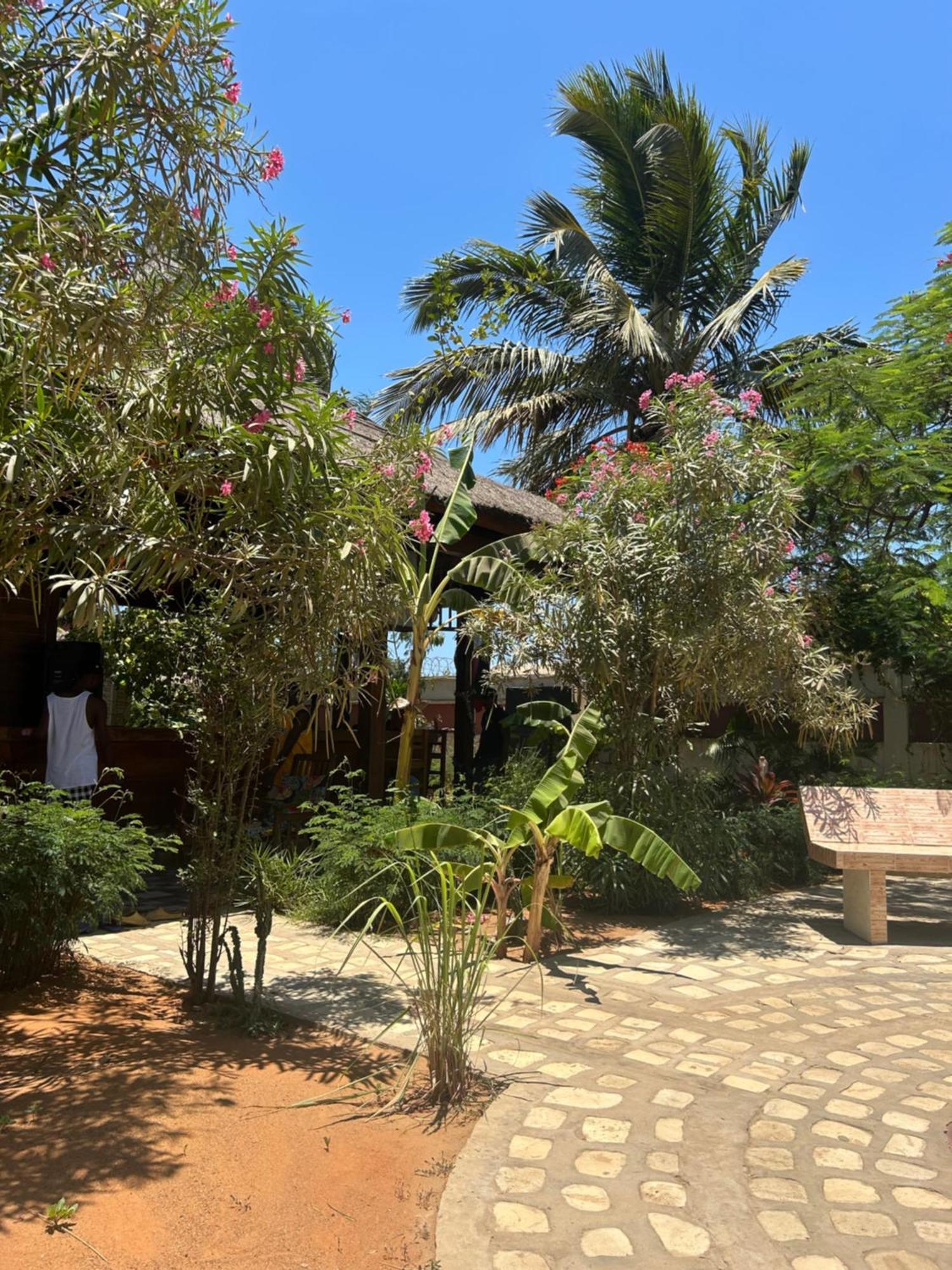 Bed and Breakfast Bohobe Naboty Toliara Zewnętrze zdjęcie