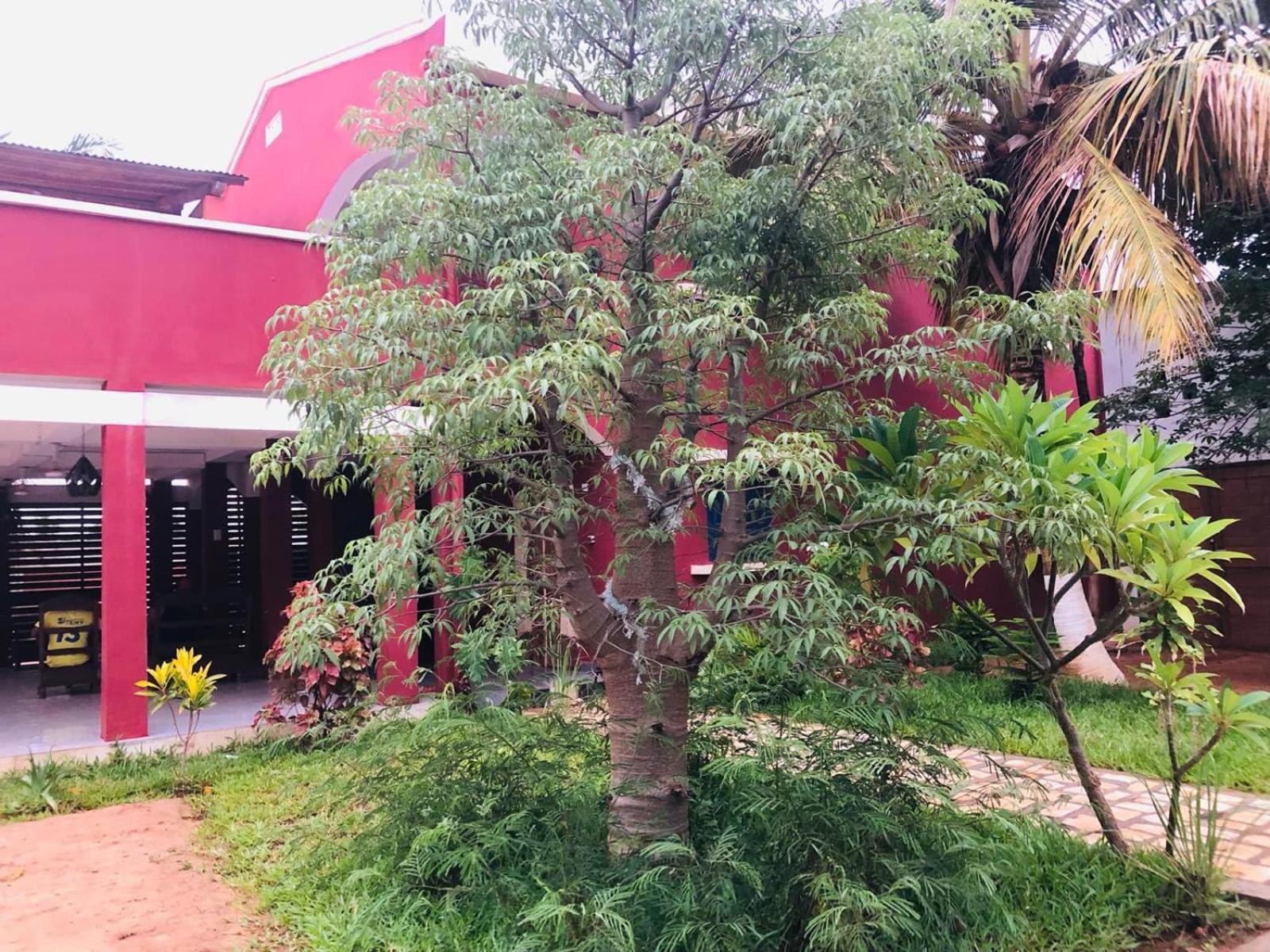 Bed and Breakfast Bohobe Naboty Toliara Zewnętrze zdjęcie
